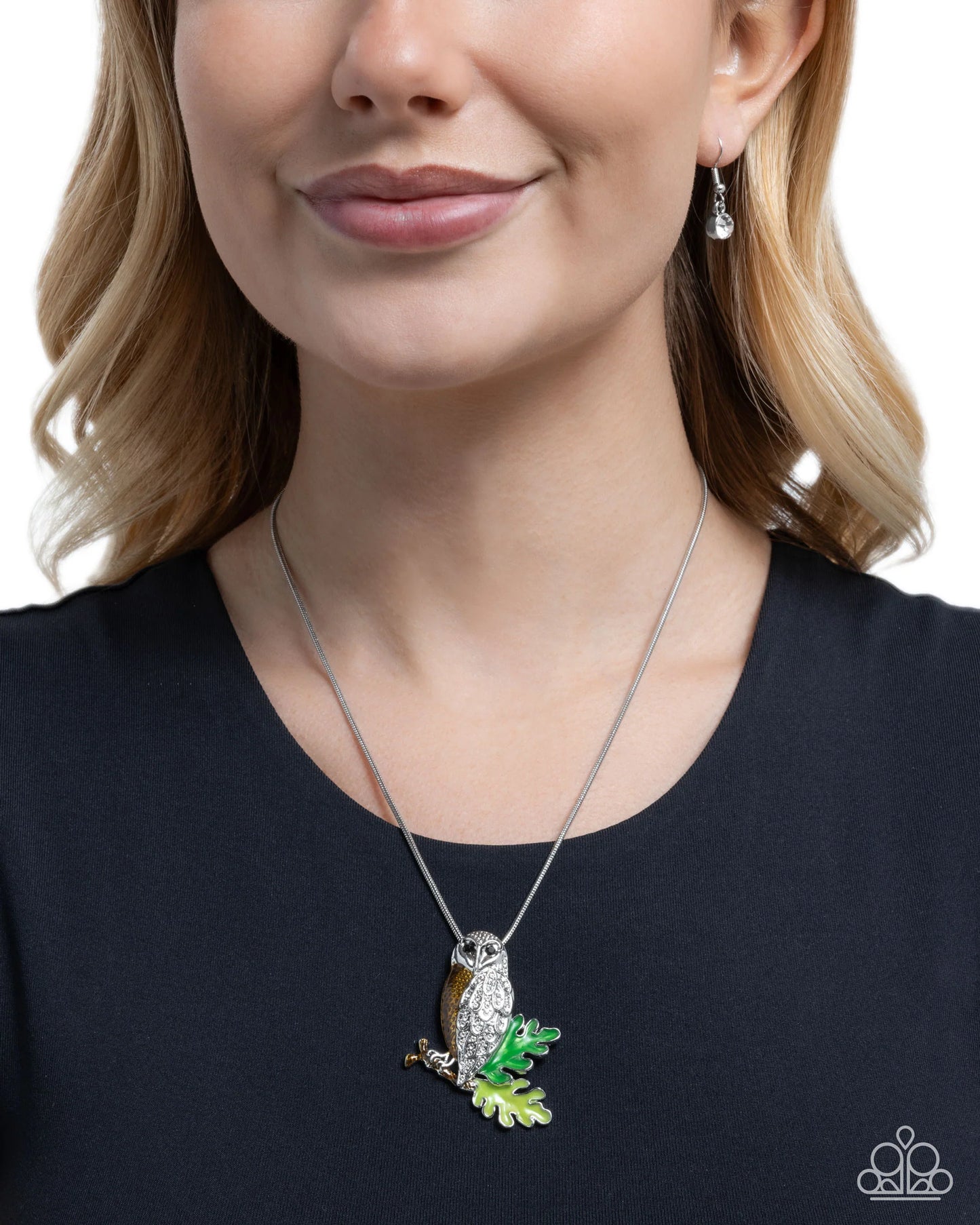 Paparazzi Owl Order - Brown Necklace