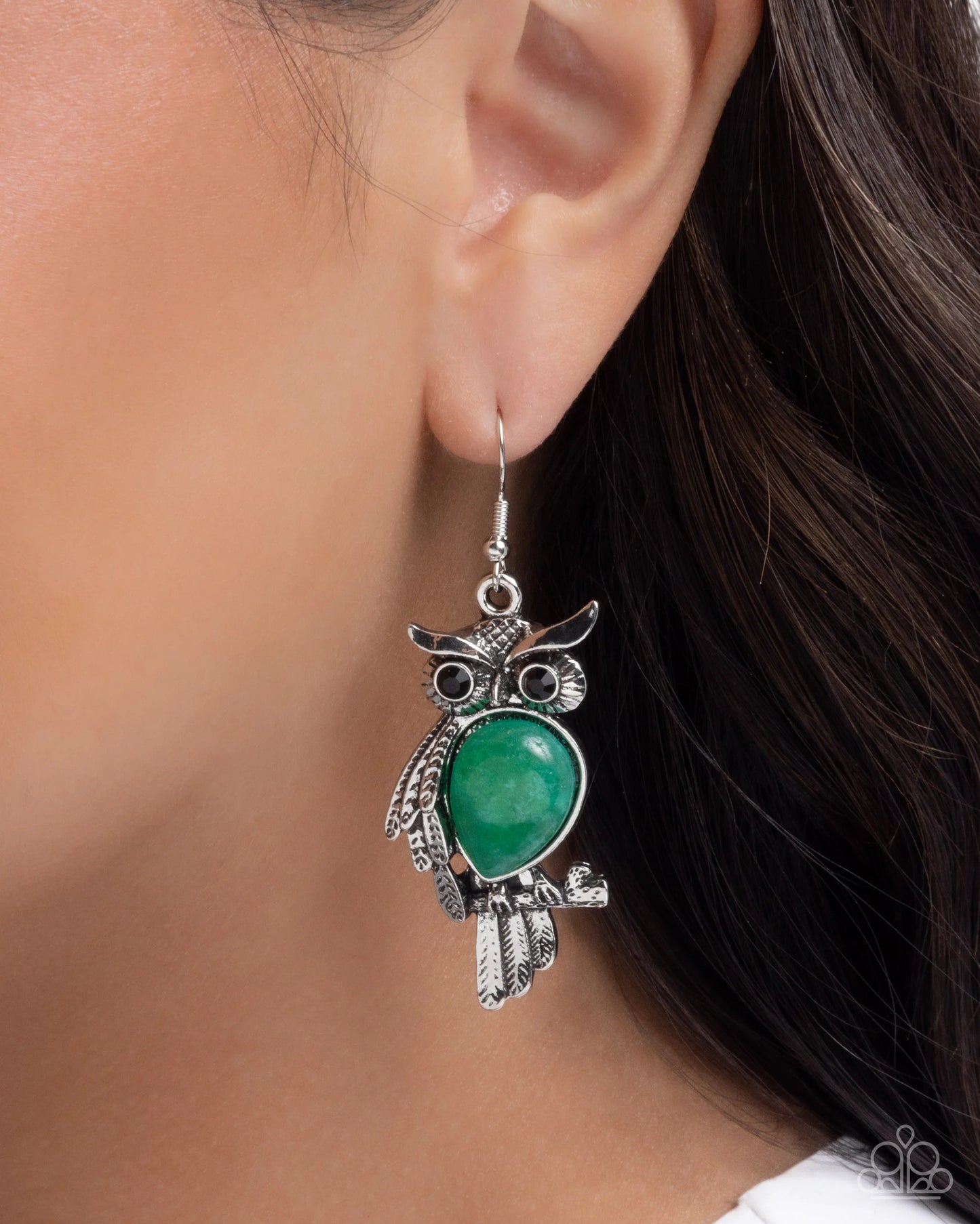 Paparazzi Owl Observation - Green Earrings